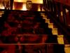 Theater Tuschinski Stairs (Amsterdam, Holland)